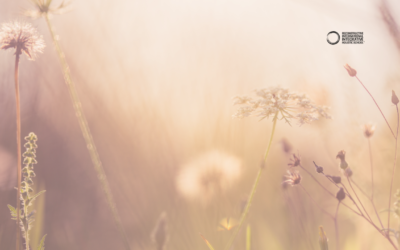 De Sobrevivir a Vivir – Taller vivencial